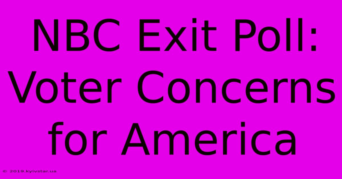 NBC Exit Poll: Voter Concerns For America