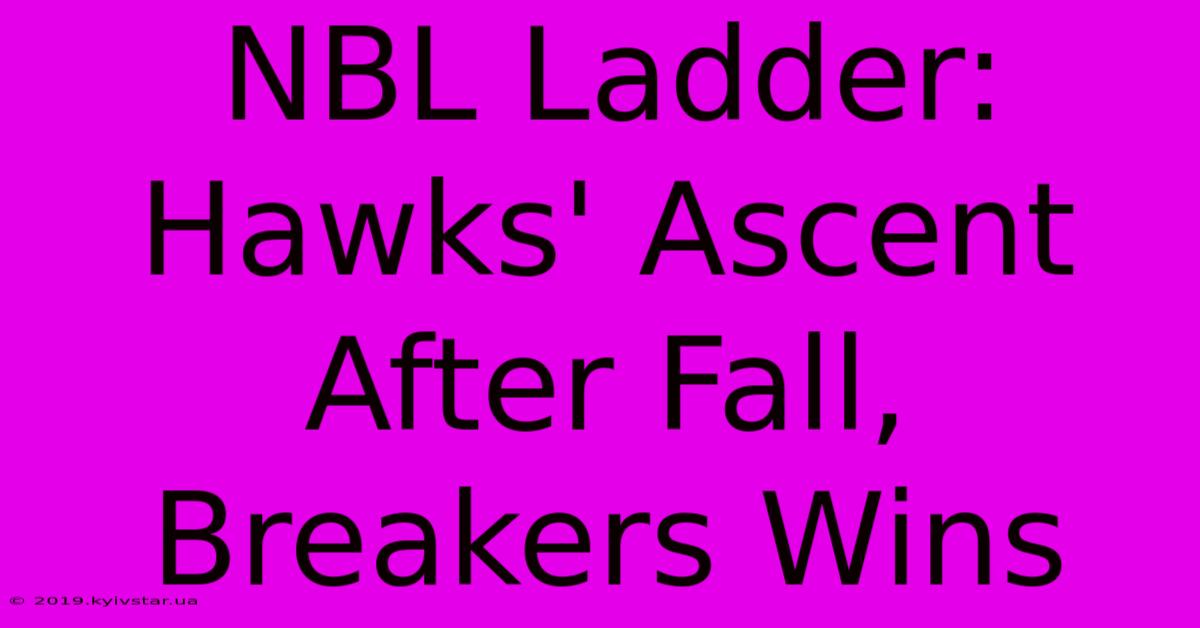 NBL Ladder: Hawks' Ascent After Fall, Breakers Wins