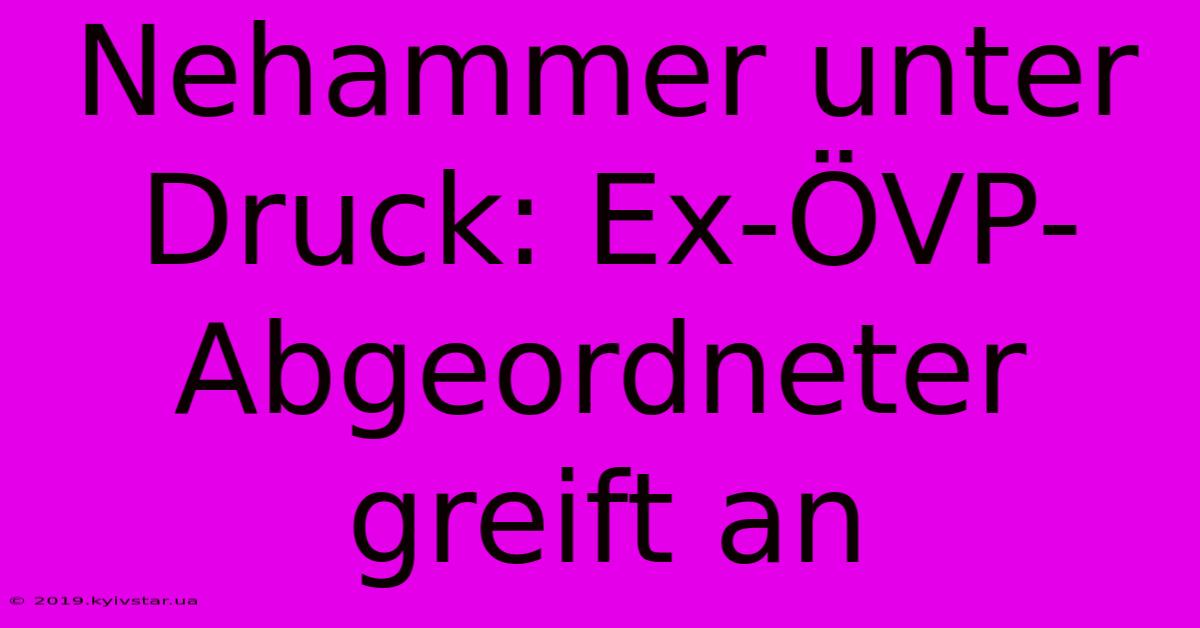 Nehammer Unter Druck: Ex-ÖVP-Abgeordneter Greift An