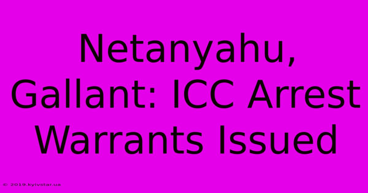 Netanyahu, Gallant: ICC Arrest Warrants Issued