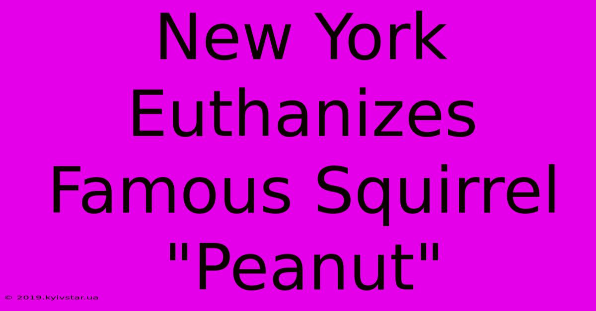 New York Euthanizes Famous Squirrel 