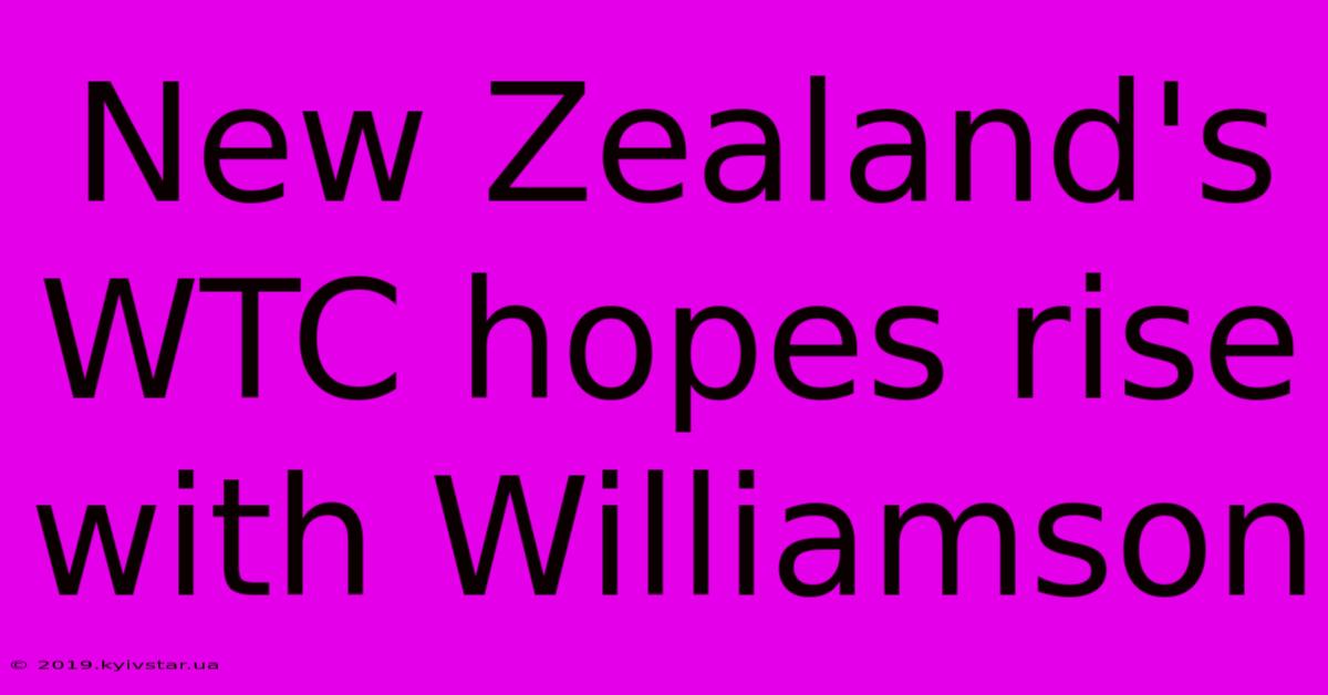 New Zealand's WTC Hopes Rise With Williamson