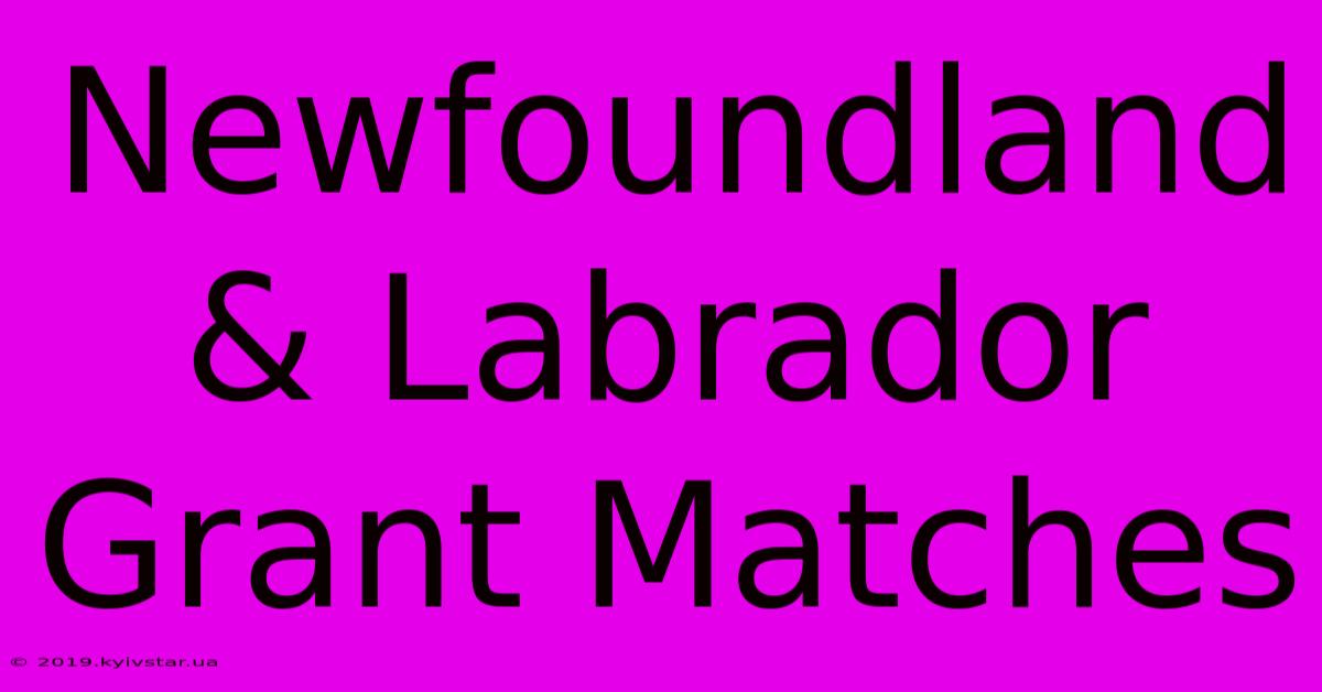 Newfoundland & Labrador Grant Matches