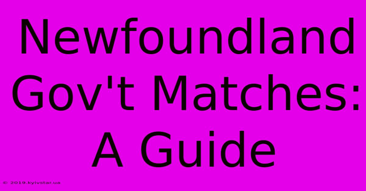 Newfoundland Gov't Matches: A Guide