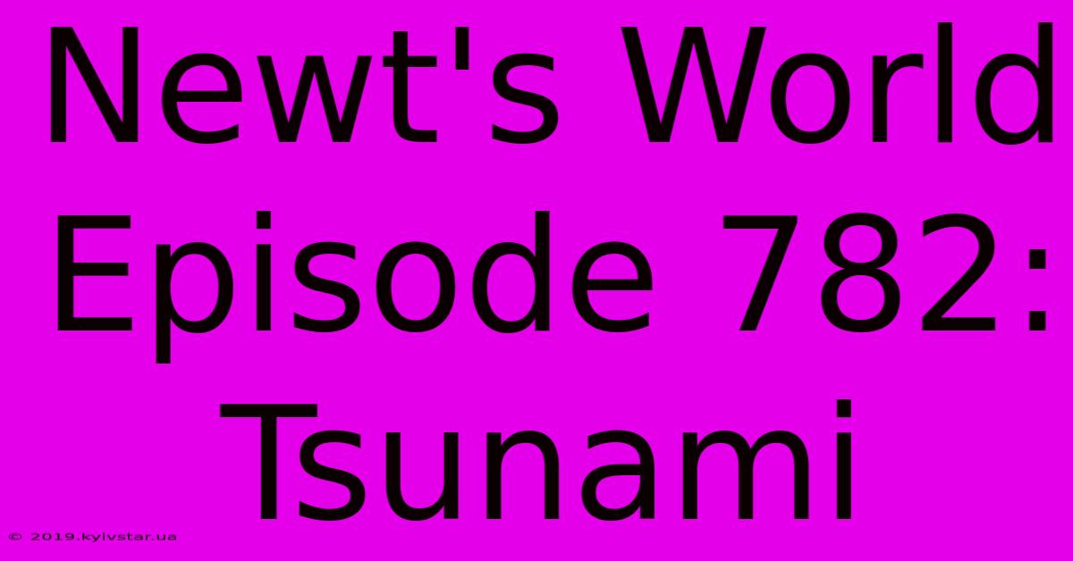 Newt's World Episode 782: Tsunami