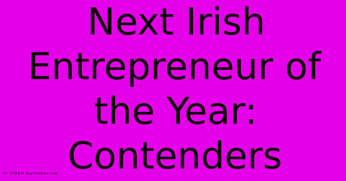 Next Irish Entrepreneur Of The Year: Contenders