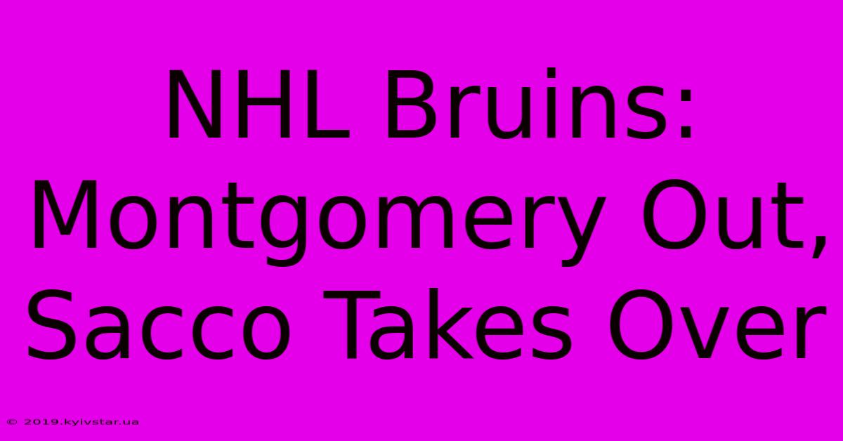 NHL Bruins: Montgomery Out, Sacco Takes Over