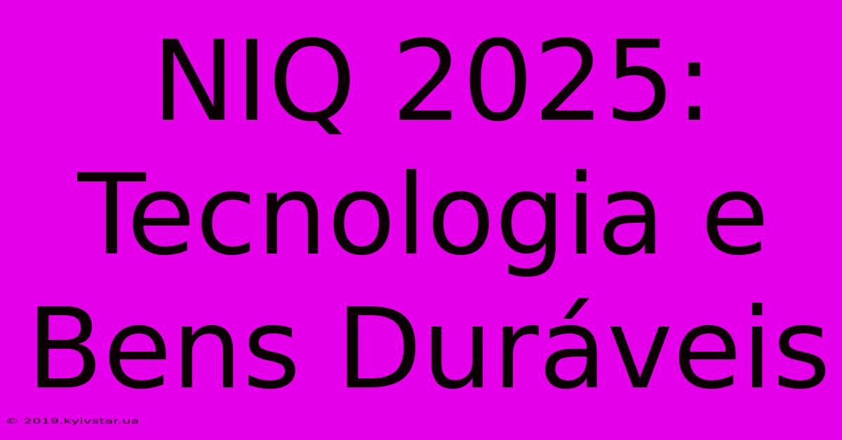 NIQ 2025: Tecnologia E Bens Duráveis