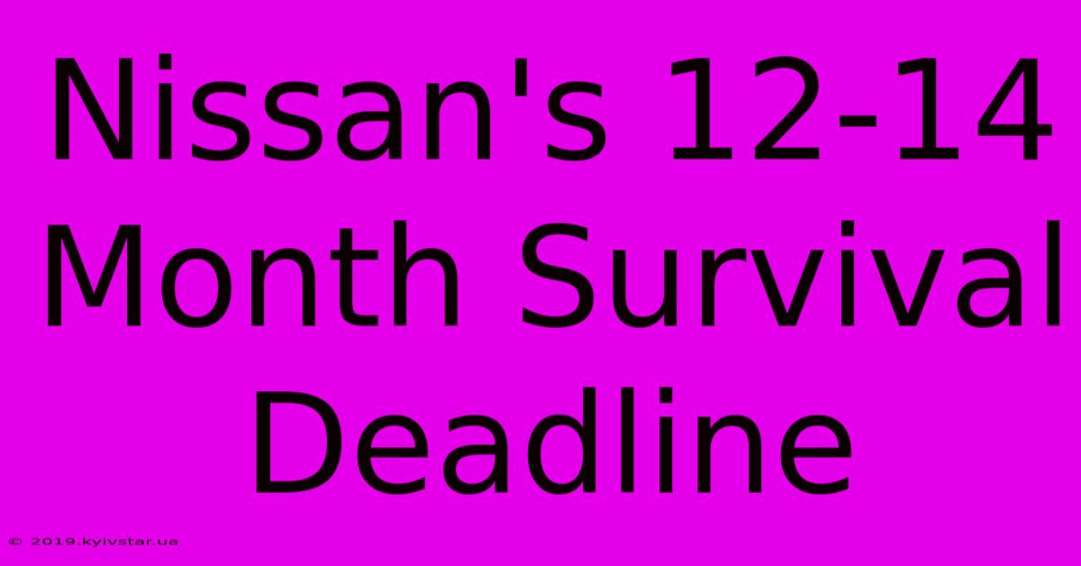 Nissan's 12-14 Month Survival Deadline