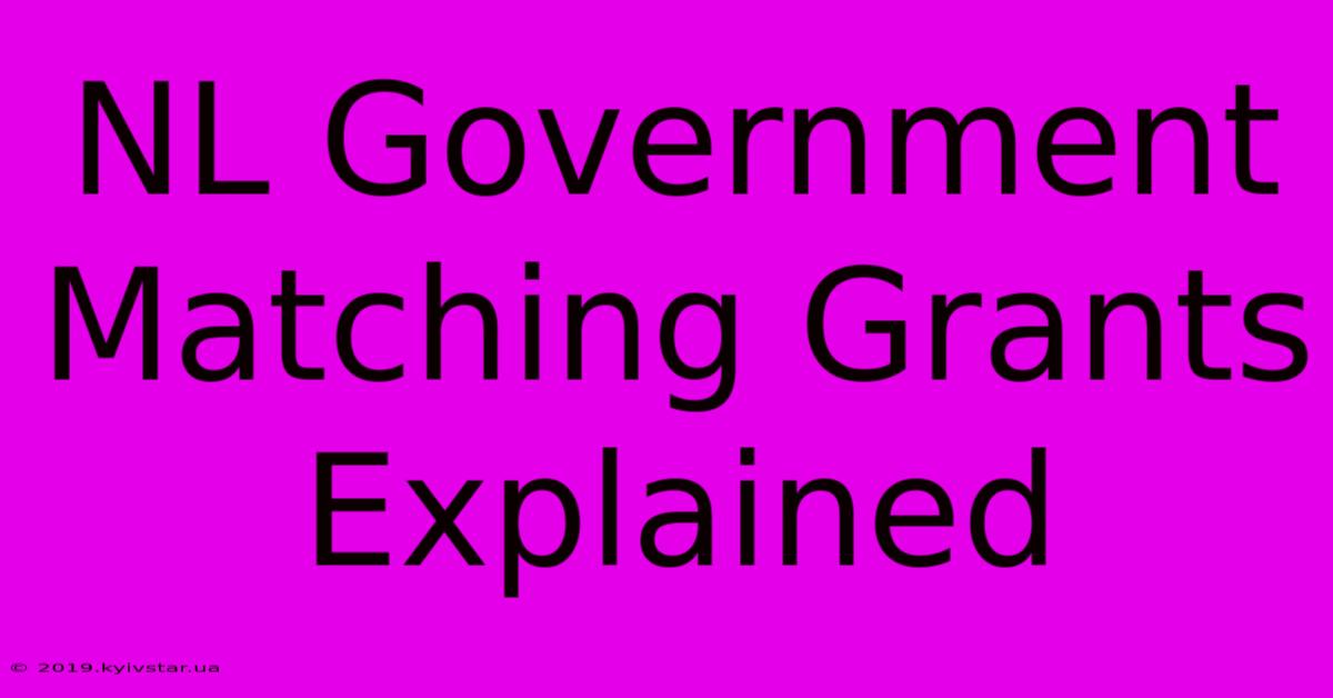 NL Government Matching Grants Explained