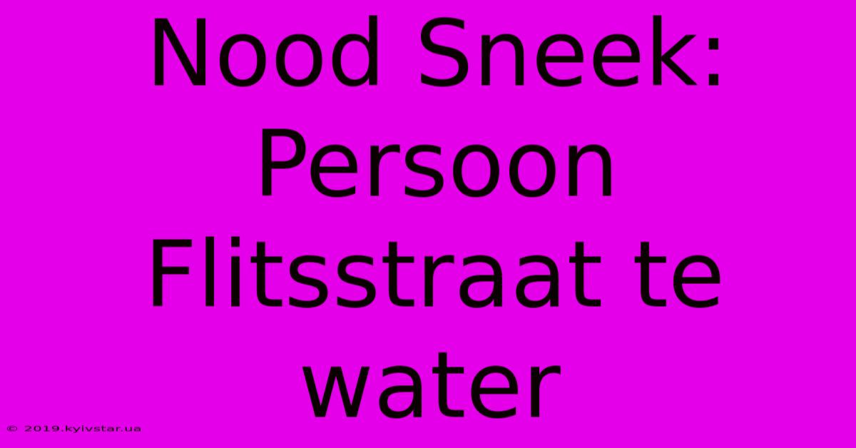 Nood Sneek: Persoon Flitsstraat Te Water