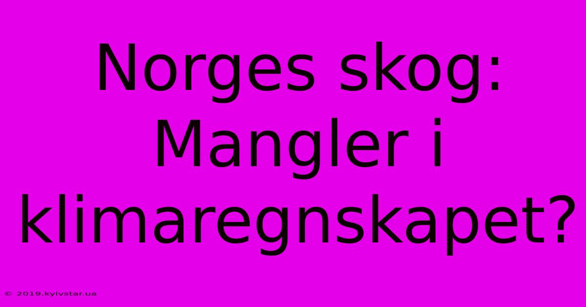 Norges Skog: Mangler I Klimaregnskapet?