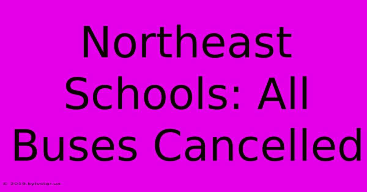 Northeast Schools: All Buses Cancelled