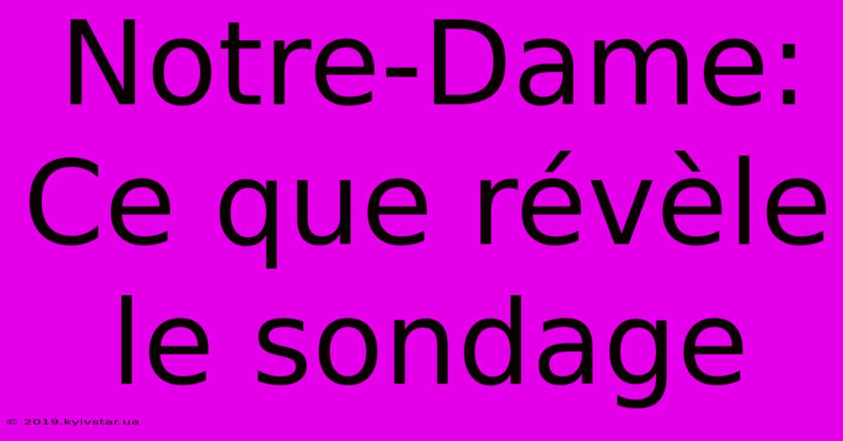 Notre-Dame:  Ce Que Révèle Le Sondage