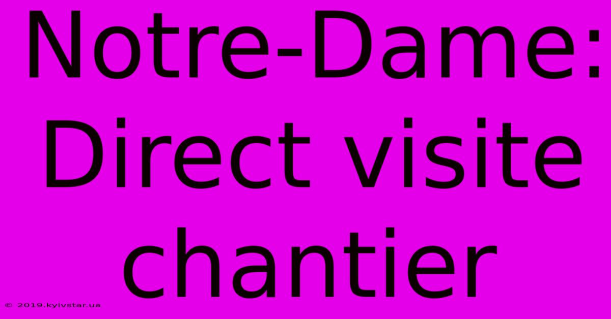 Notre-Dame: Direct Visite Chantier