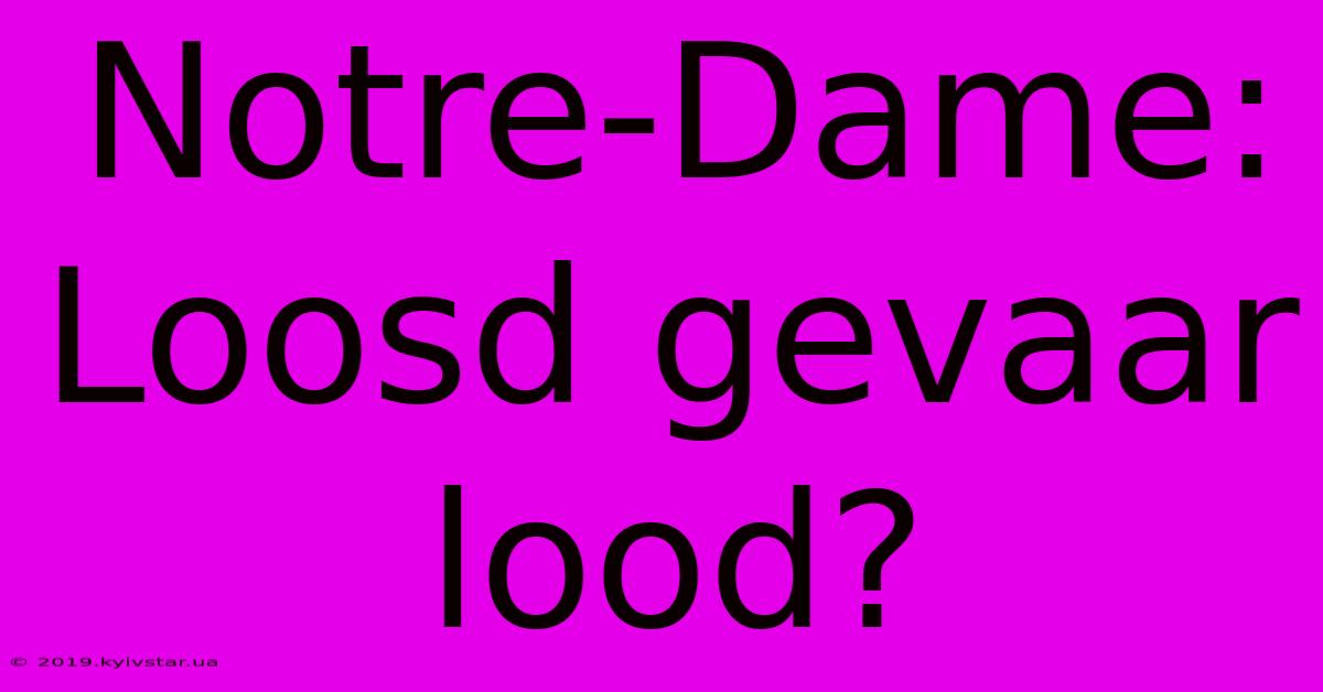 Notre-Dame: Loosd Gevaar Lood?