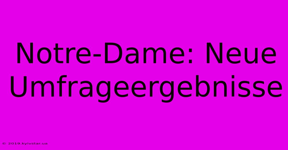 Notre-Dame: Neue Umfrageergebnisse