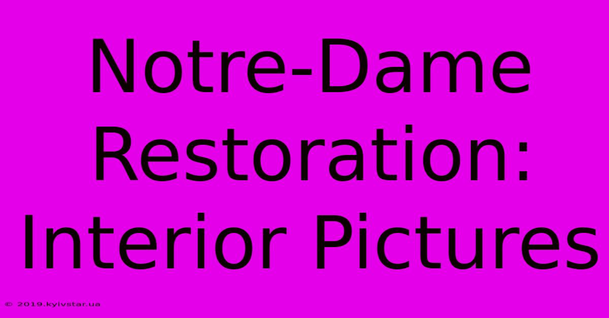 Notre-Dame Restoration: Interior Pictures