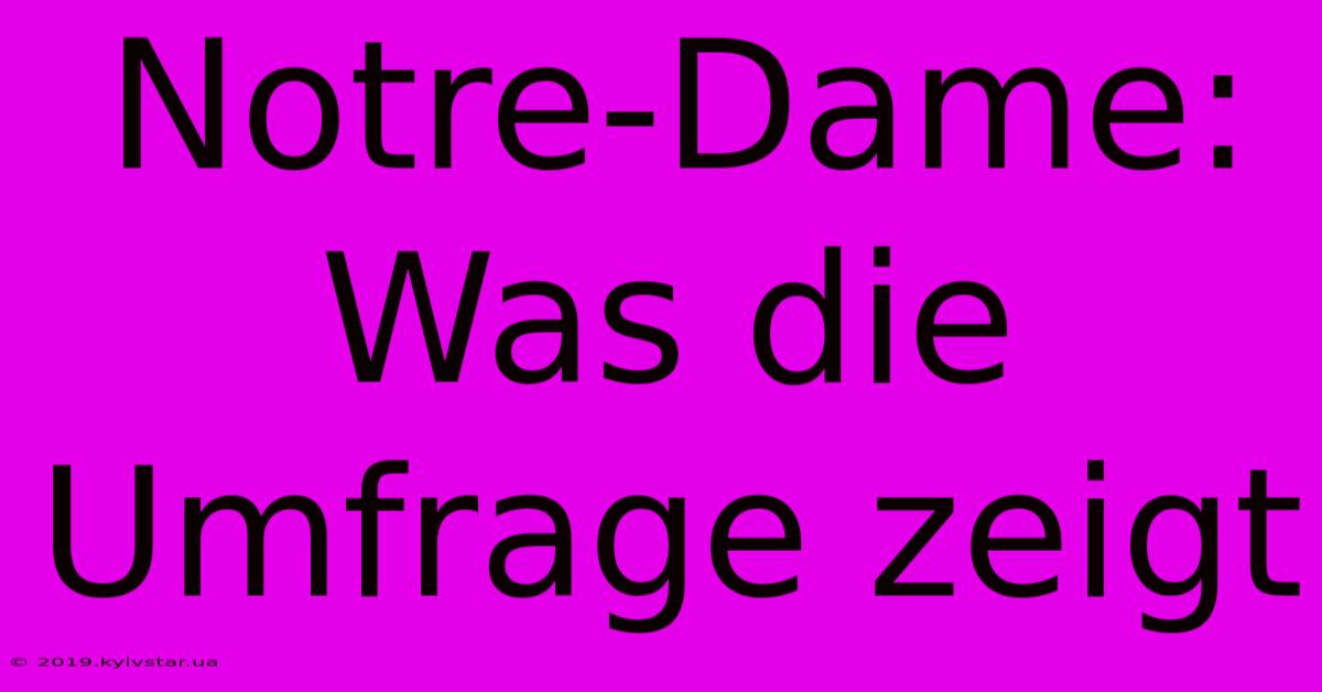 Notre-Dame: Was Die Umfrage Zeigt