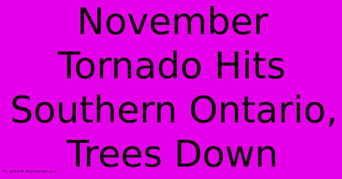 November Tornado Hits Southern Ontario, Trees Down