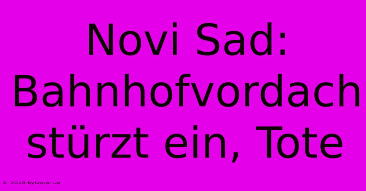 Novi Sad: Bahnhofvordach Stürzt Ein, Tote