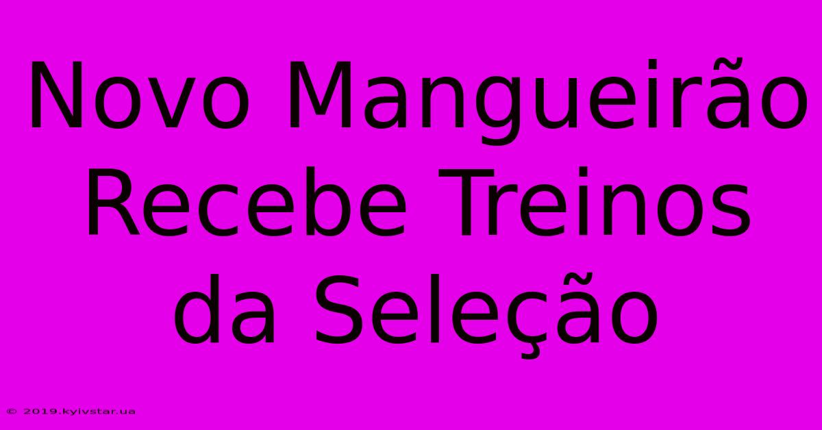 Novo Mangueirão Recebe Treinos Da Seleção