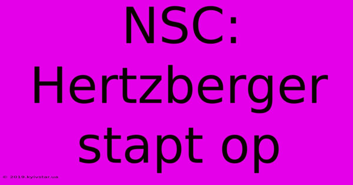 NSC: Hertzberger Stapt Op