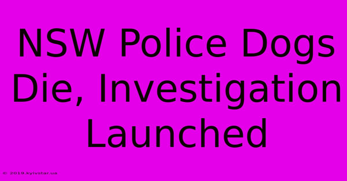 NSW Police Dogs Die, Investigation Launched