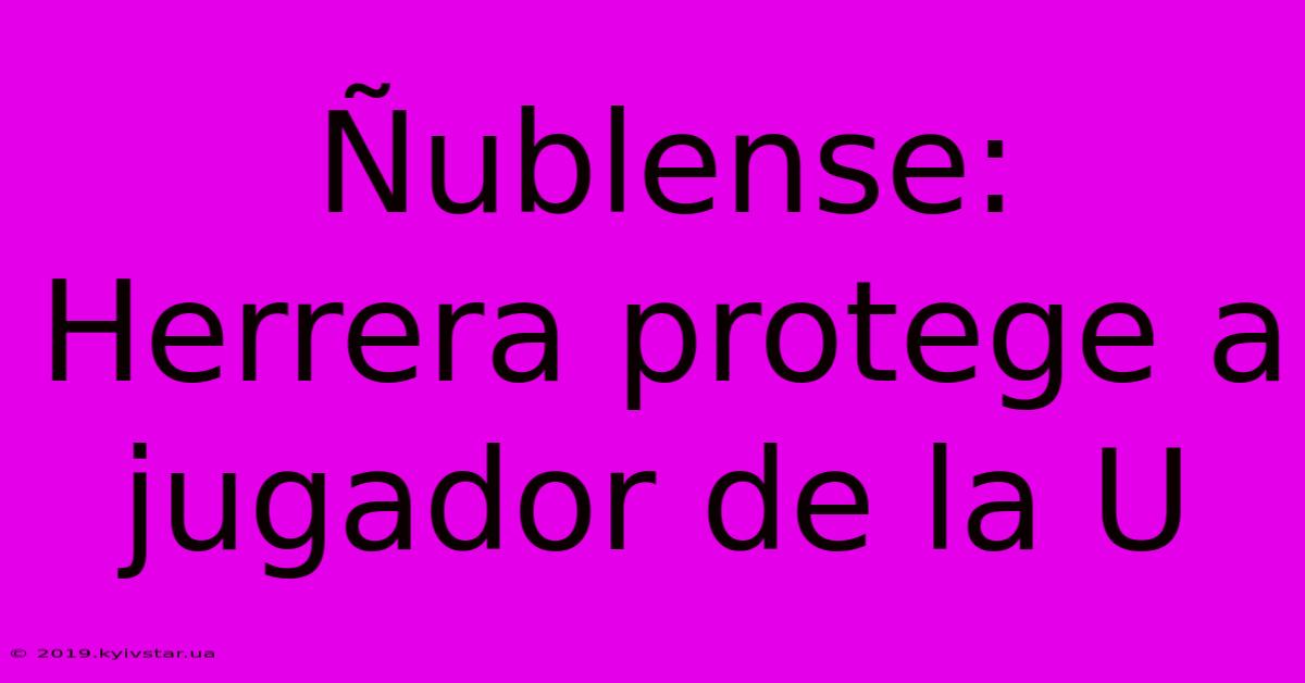 Ñublense: Herrera Protege A Jugador De La U