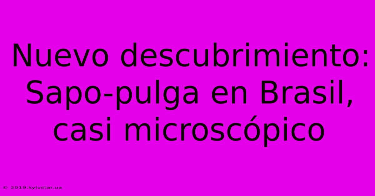 Nuevo Descubrimiento: Sapo-pulga En Brasil, Casi Microscópico 