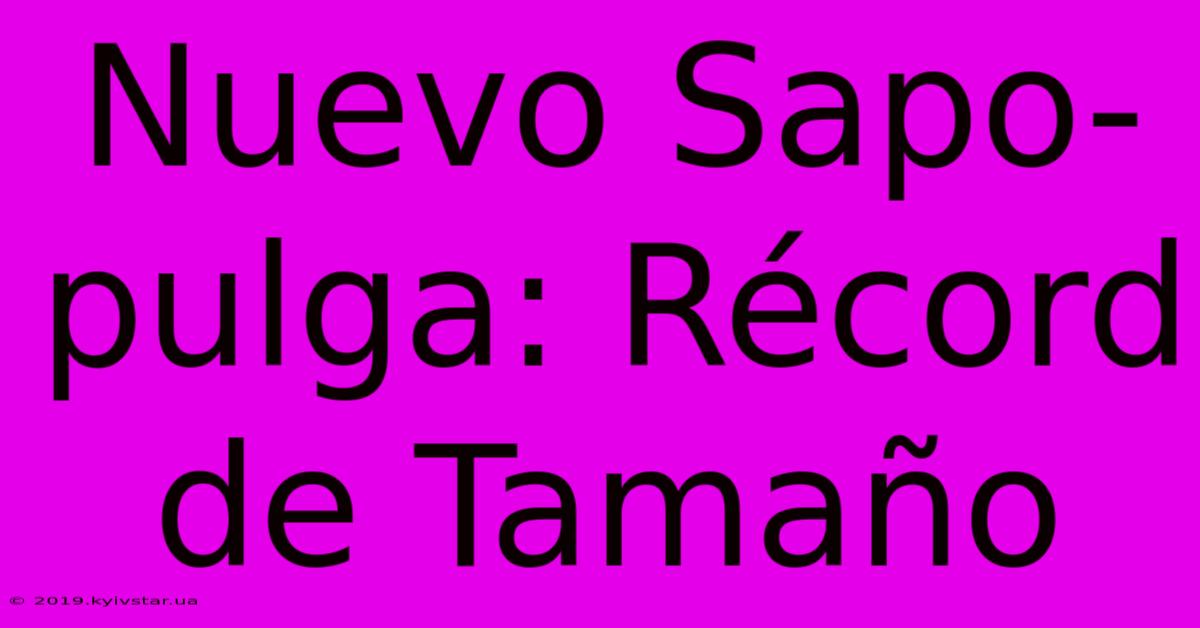 Nuevo Sapo-pulga: Récord De Tamaño