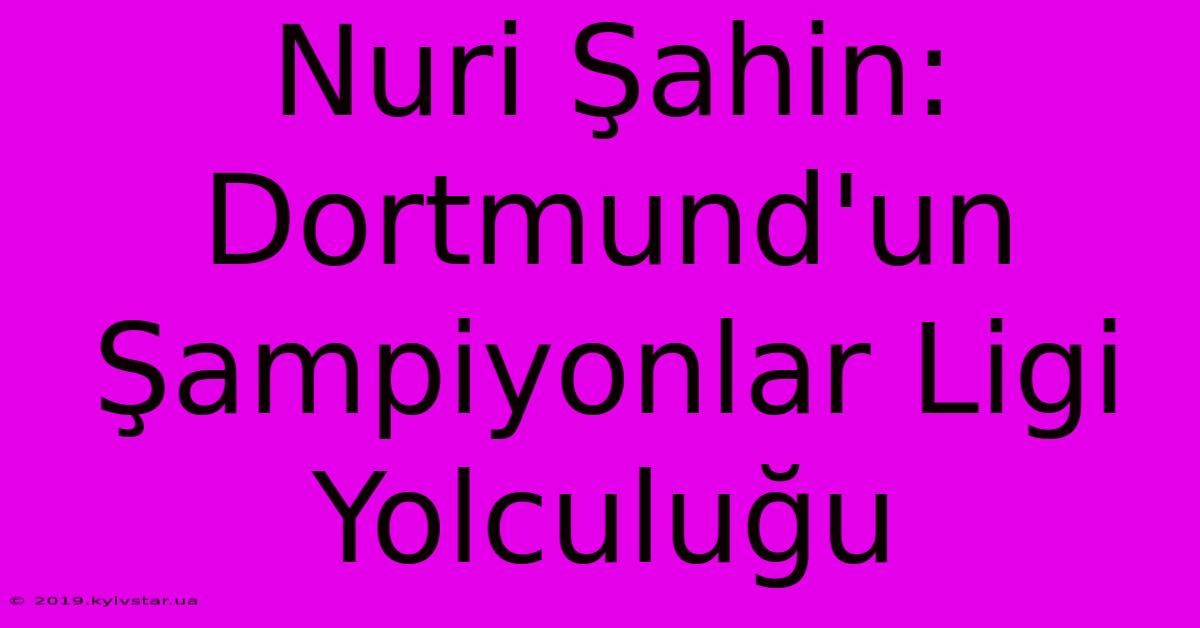 Nuri Şahin: Dortmund'un Şampiyonlar Ligi Yolculuğu