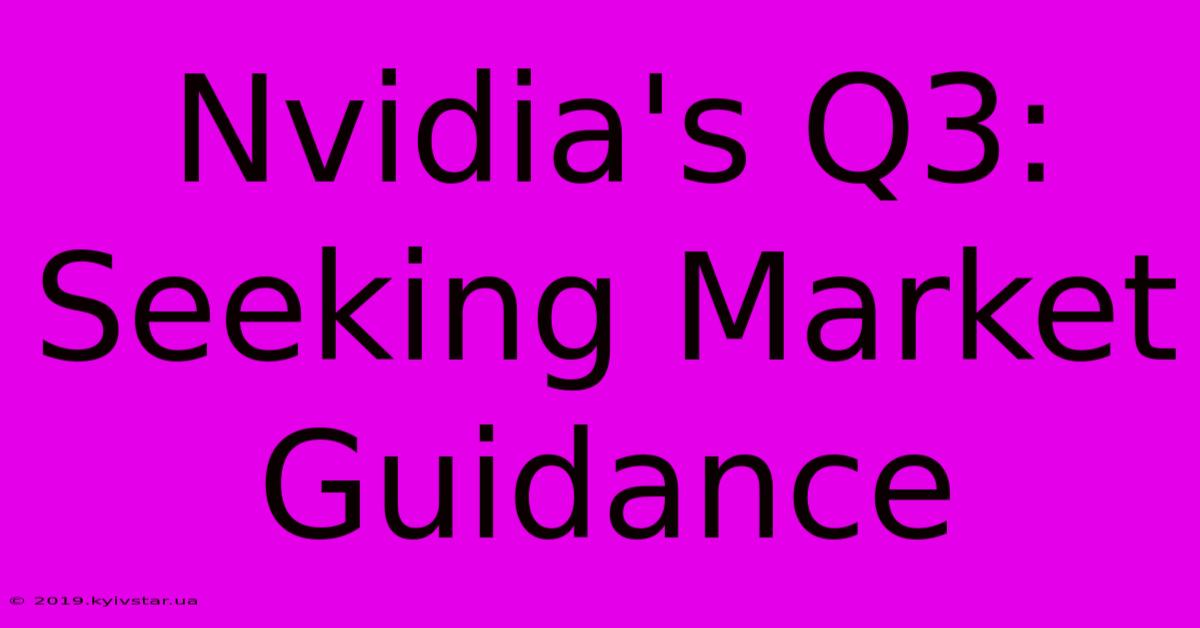 Nvidia's Q3: Seeking Market Guidance