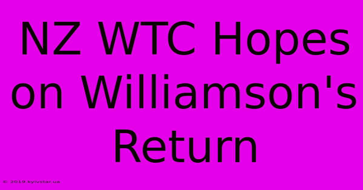 NZ WTC Hopes On Williamson's Return