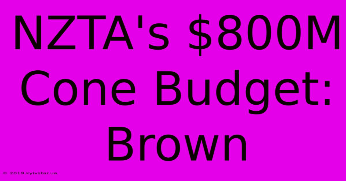 NZTA's $800M Cone Budget: Brown