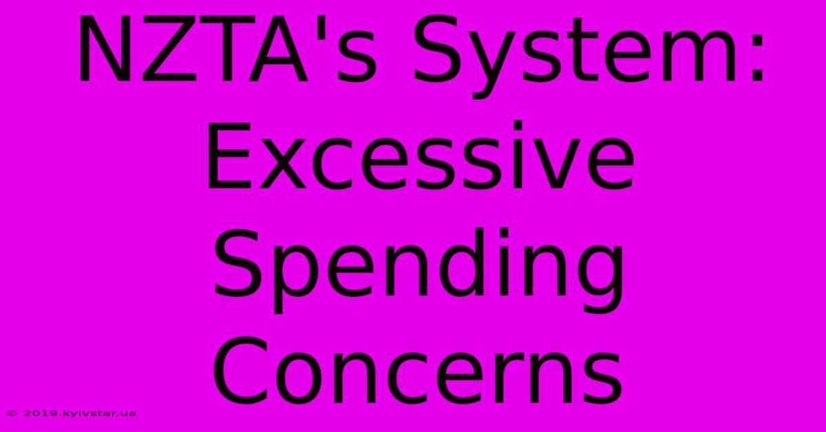 NZTA's System: Excessive Spending Concerns