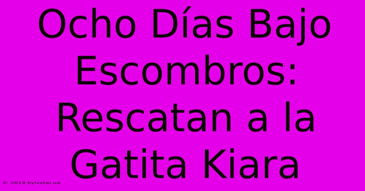 Ocho Días Bajo Escombros: Rescatan A La Gatita Kiara