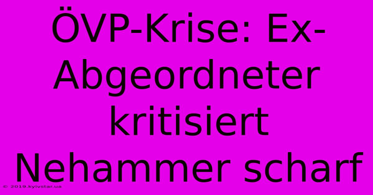 ÖVP-Krise: Ex-Abgeordneter Kritisiert Nehammer Scharf