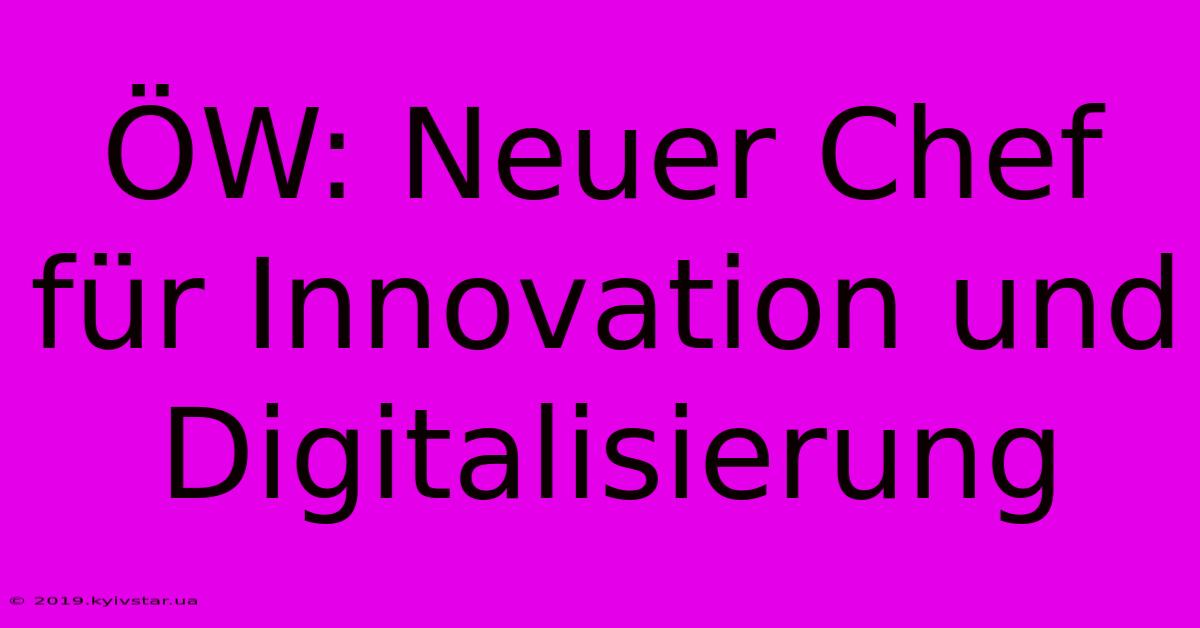 ÖW: Neuer Chef Für Innovation Und Digitalisierung