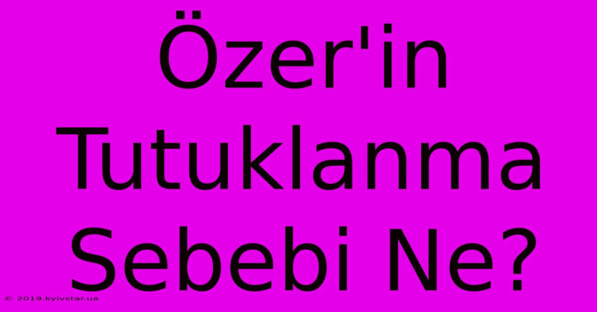 Özer'in Tutuklanma Sebebi Ne?