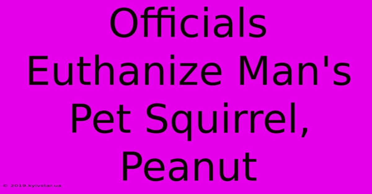 Officials Euthanize Man's Pet Squirrel, Peanut