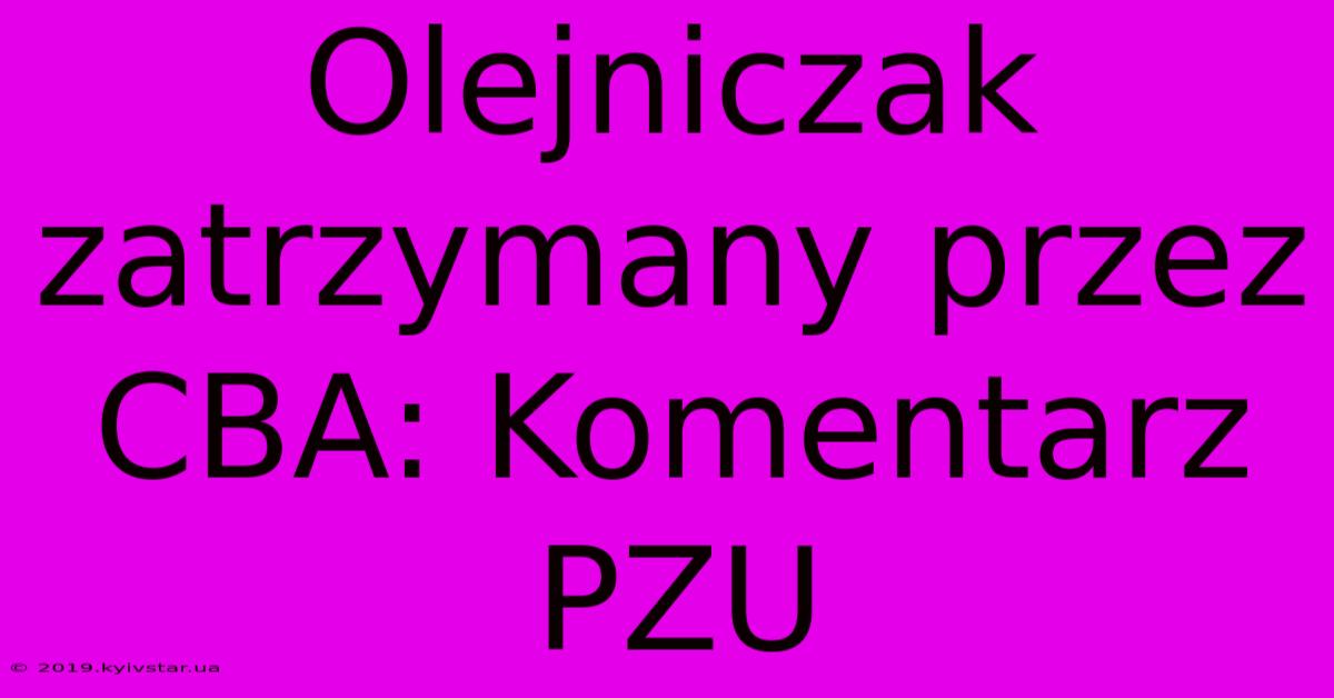 Olejniczak Zatrzymany Przez CBA: Komentarz PZU