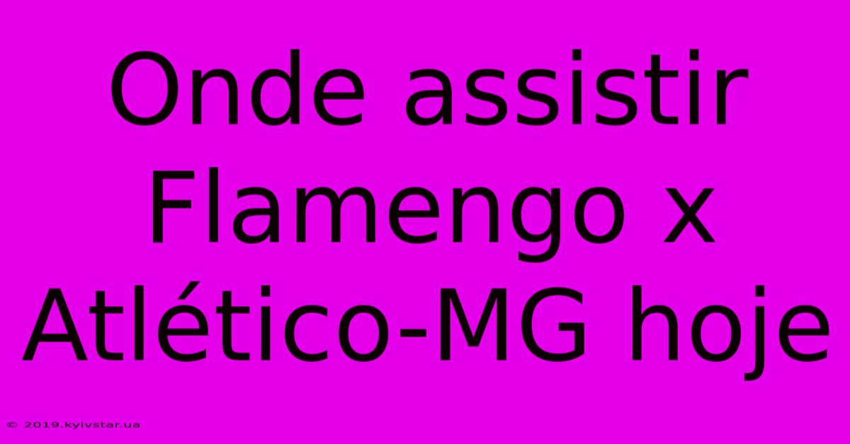 Onde Assistir Flamengo X Atlético-MG Hoje