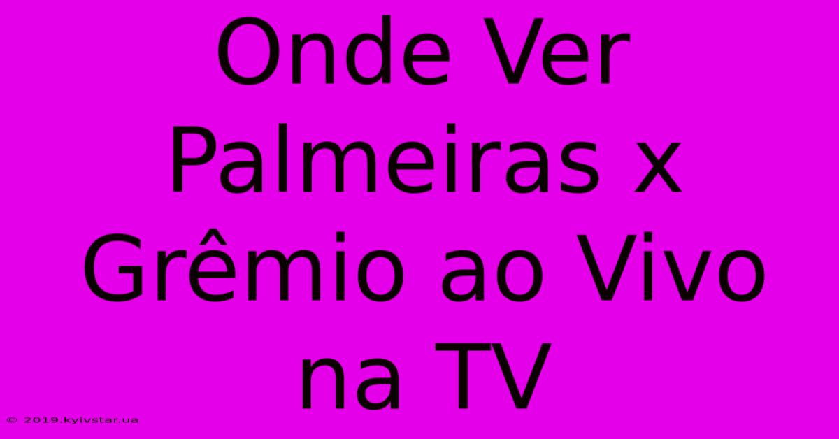 Onde Ver Palmeiras X Grêmio Ao Vivo Na TV