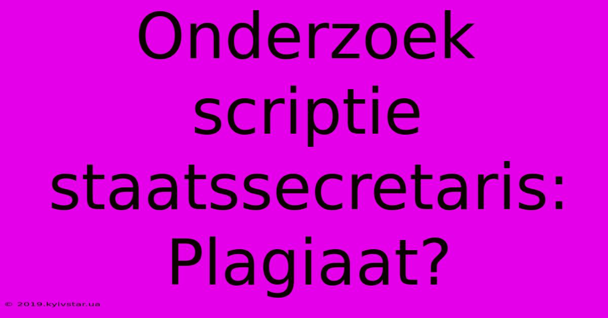 Onderzoek Scriptie Staatssecretaris:  Plagiaat?