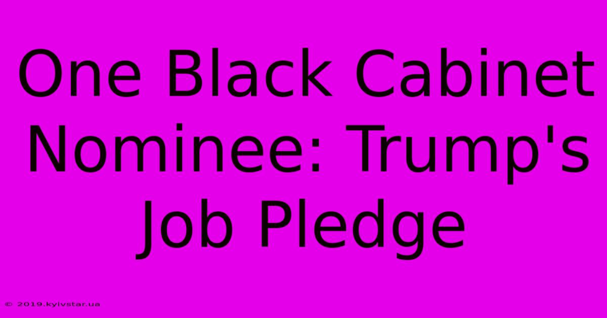 One Black Cabinet Nominee: Trump's Job Pledge