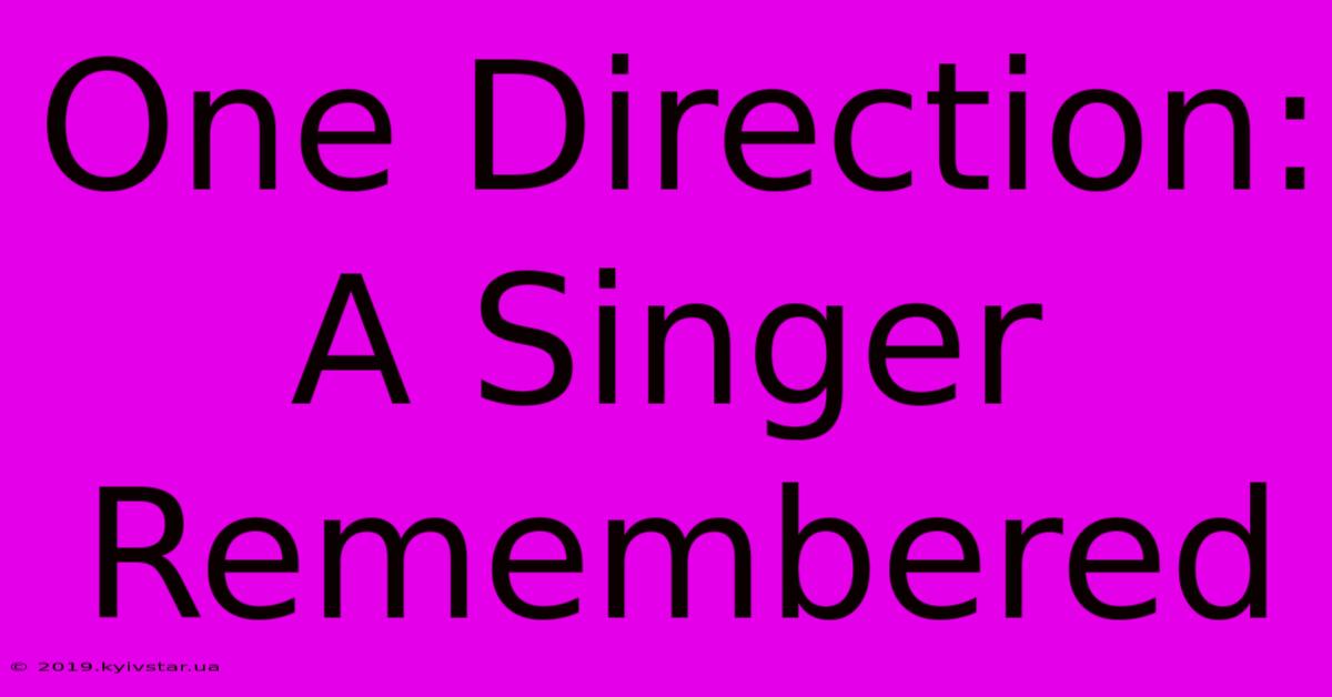 One Direction: A Singer Remembered