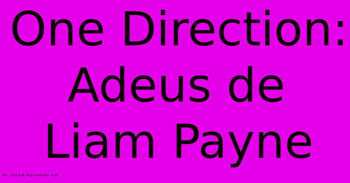 One Direction: Adeus De Liam Payne