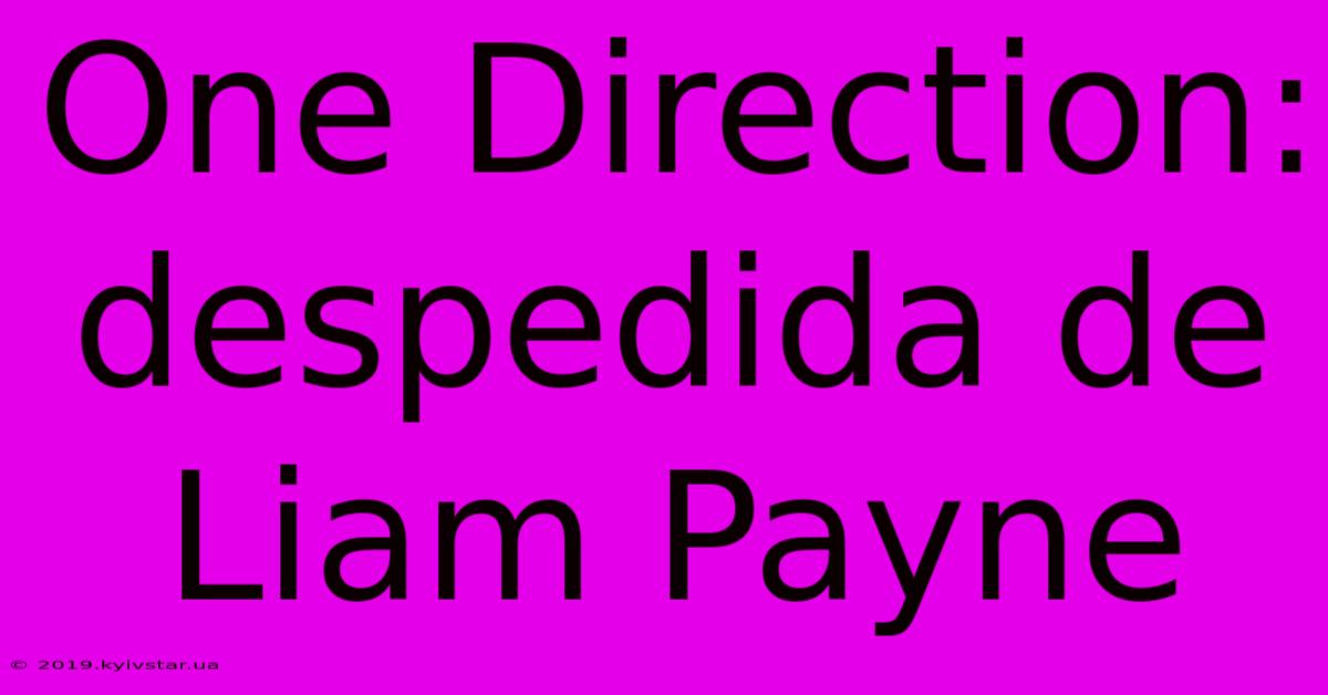 One Direction: Despedida De Liam Payne