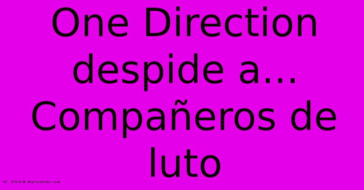 One Direction Despide A... Compañeros De Luto